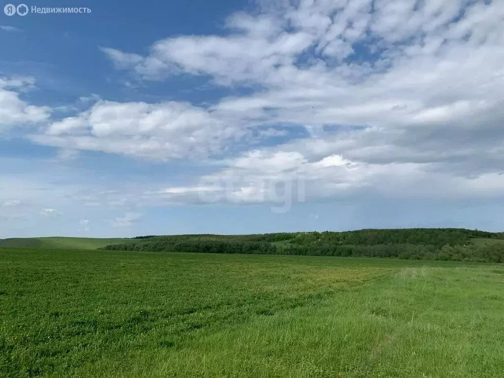 Участок в Лаишевский район, Егорьевское сельское поселение, село Бима, ... - Фото 1