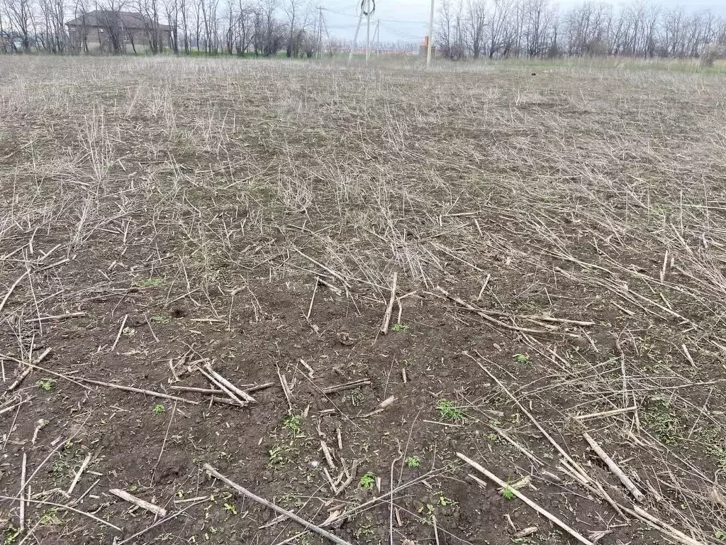 Участок в Ростовская область, Мясниковский район, с. Большие Салы ул. ... - Фото 1