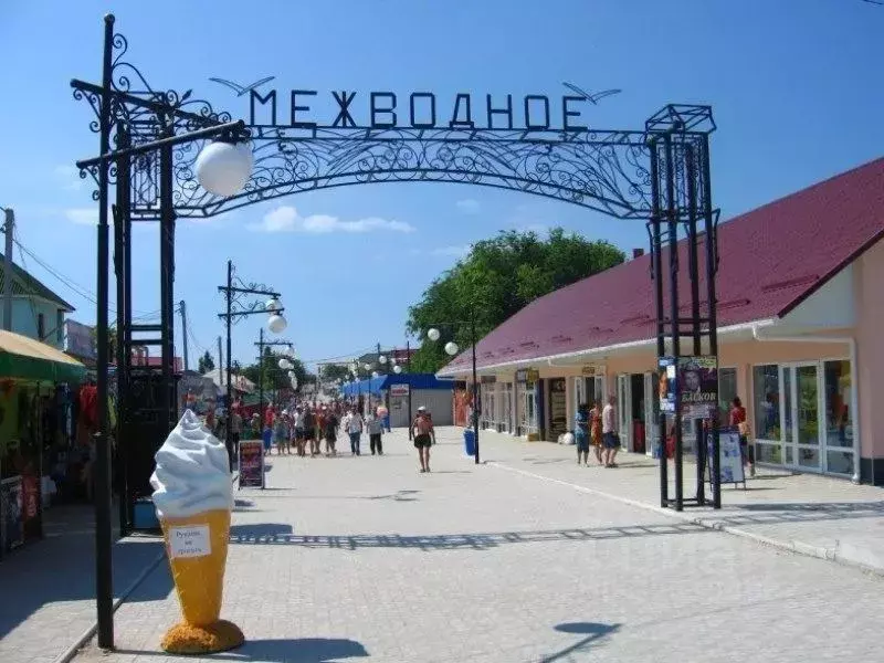 Участок в Крым, Черноморский район, с. Межводное ул. Крымская (10.0 ... - Фото 2