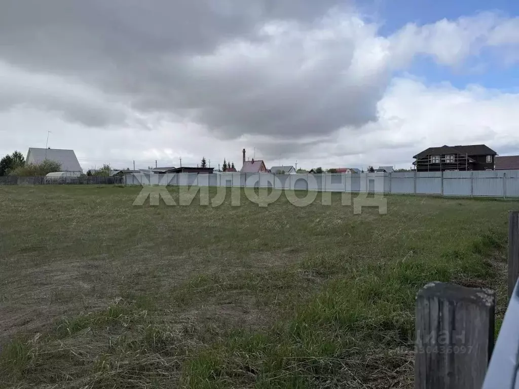 Участок в Новосибирская область, Ордынский район, с. Новопичугово ул. ... - Фото 2