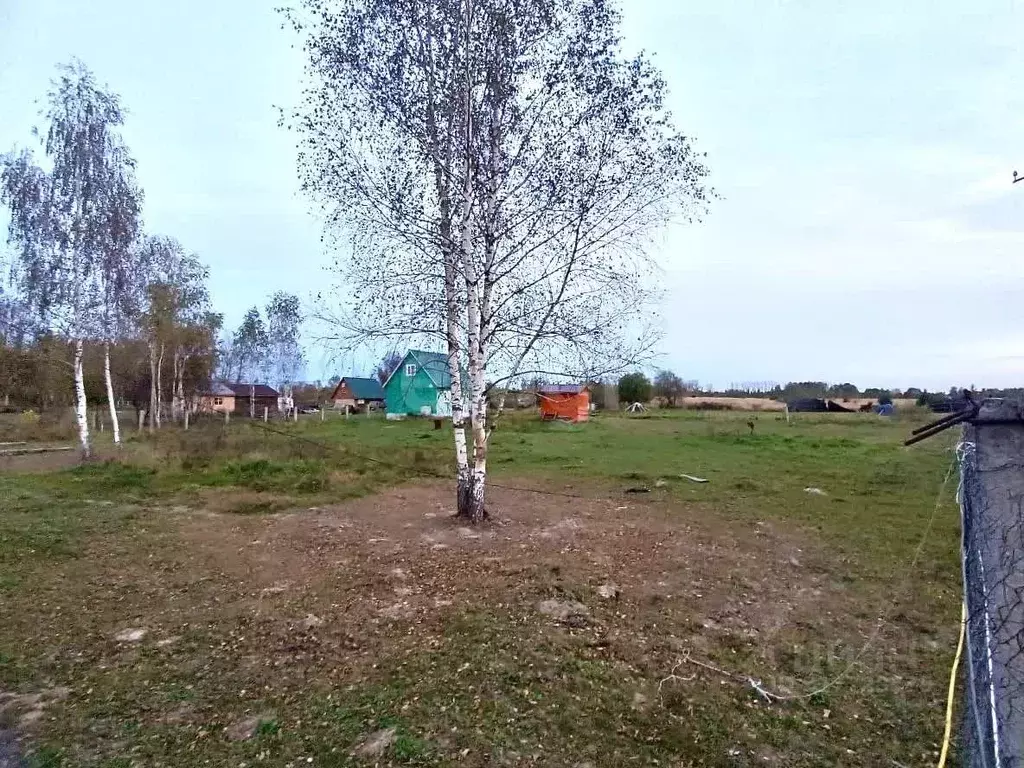 Участок в Московская область, Коломна городской округ, с. Чанки  (12.0 ... - Фото 1