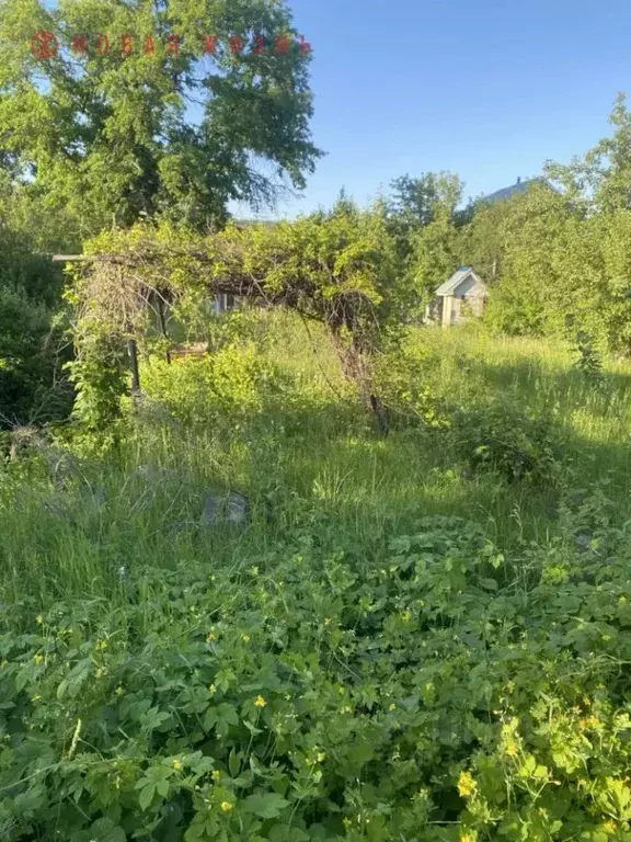 Участок в Самарская область, Самара Жигулевские Сады СДНТ, 333 (5.5 ... - Фото 2