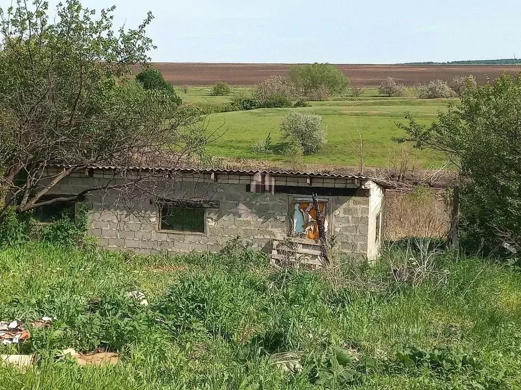 Участок в Саратовская область, пос. Дубки ул. Фабричная, 19 (11.0 ... - Фото 1