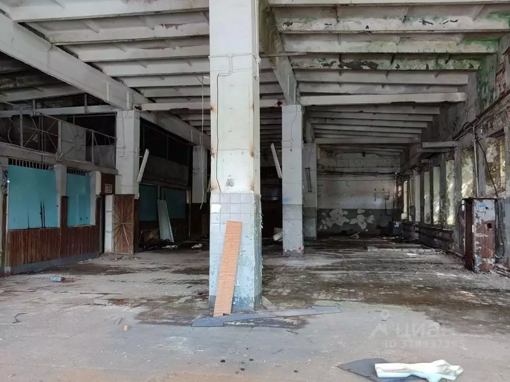 Склад в Самарская область, Самара Народная ул., 9 (350 м) - Фото 1