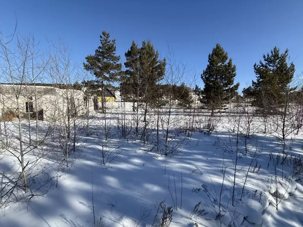 Участок в Бурятия, Улан-Удэ ул. Плодородная, 36 (10.0 сот.) - Фото 1