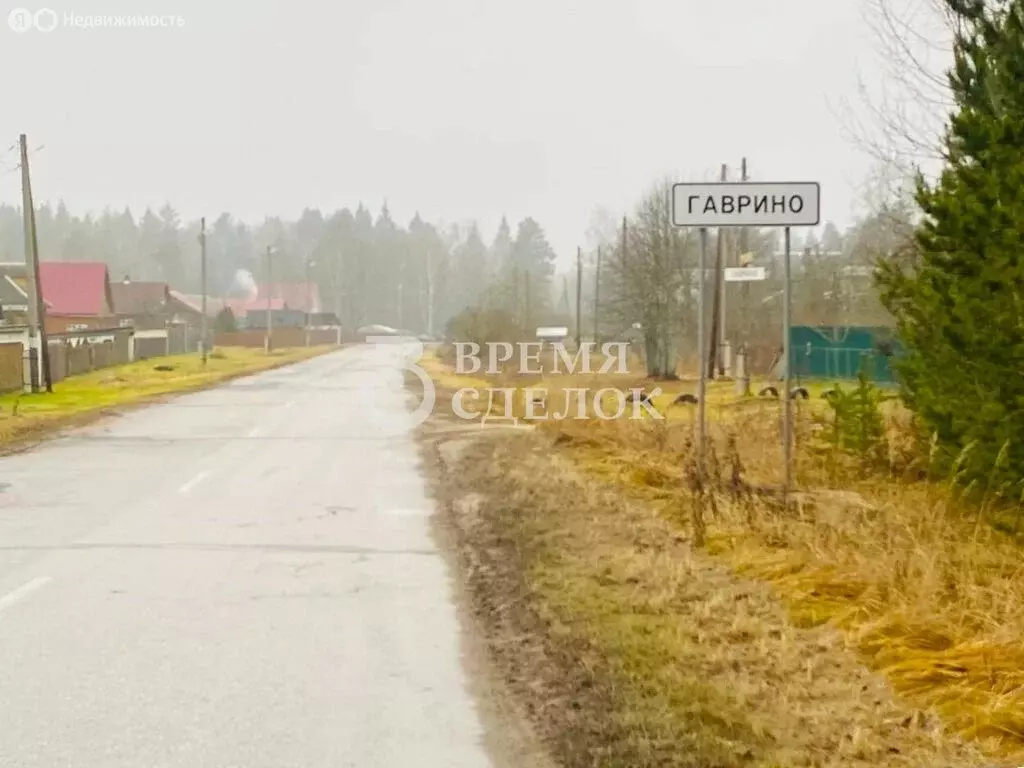 Участок в Владимирская область, Гусь-Хрустальный муниципальный округ, ... - Фото 1