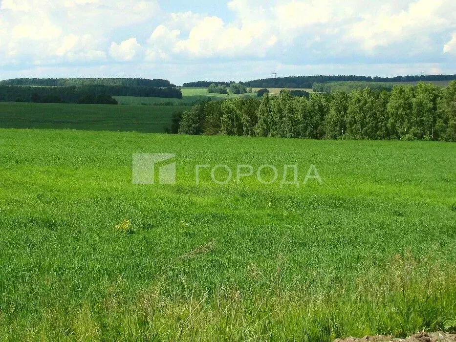 Участок в Кемеровская область, Новокузнецкий муниципальный округ, с. ... - Фото 1