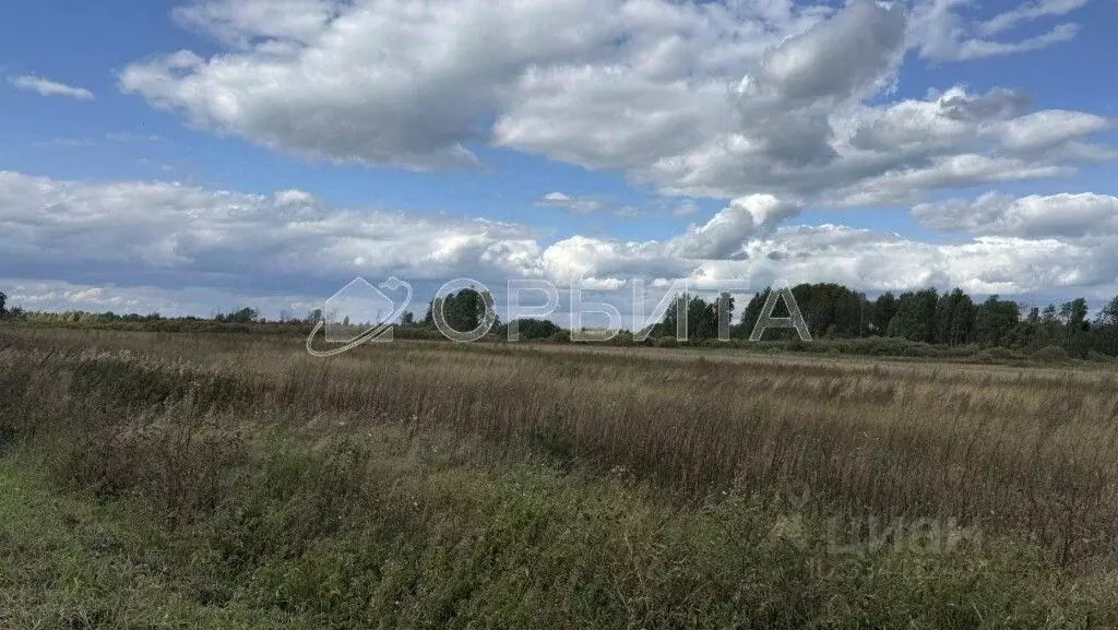 Участок в Тюменская область, Тюменский муниципальный округ, с. ... - Фото 2