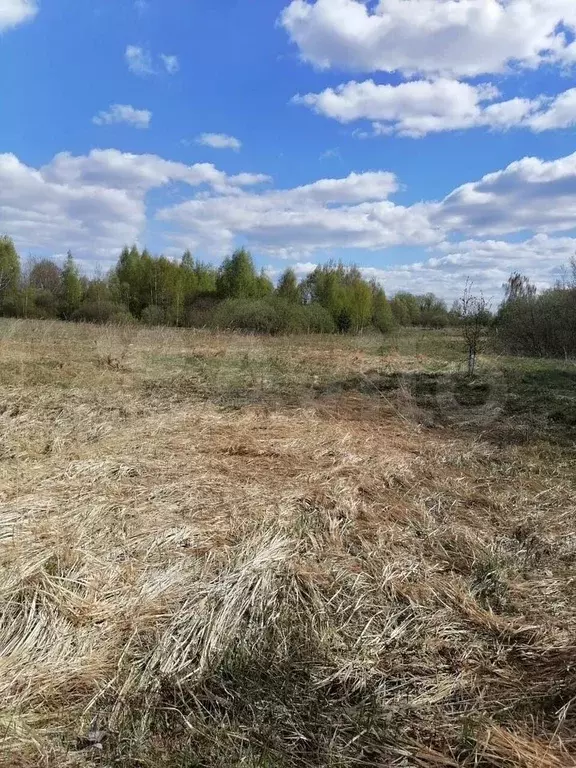 Участок 33 сот. (личное подсобное хозяйство (лпх)) - Фото 1