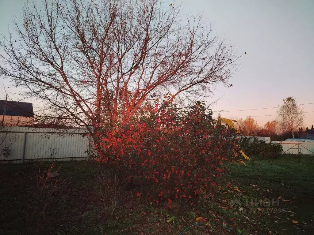 Участок в Томская область, Томский район, Петрово СНТ  (11.0 сот.) - Фото 1