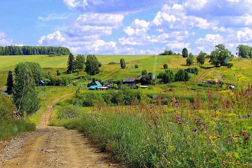 Участок в Пермский край, Пермь ул. Ленина (10.92 сот.) - Фото 1