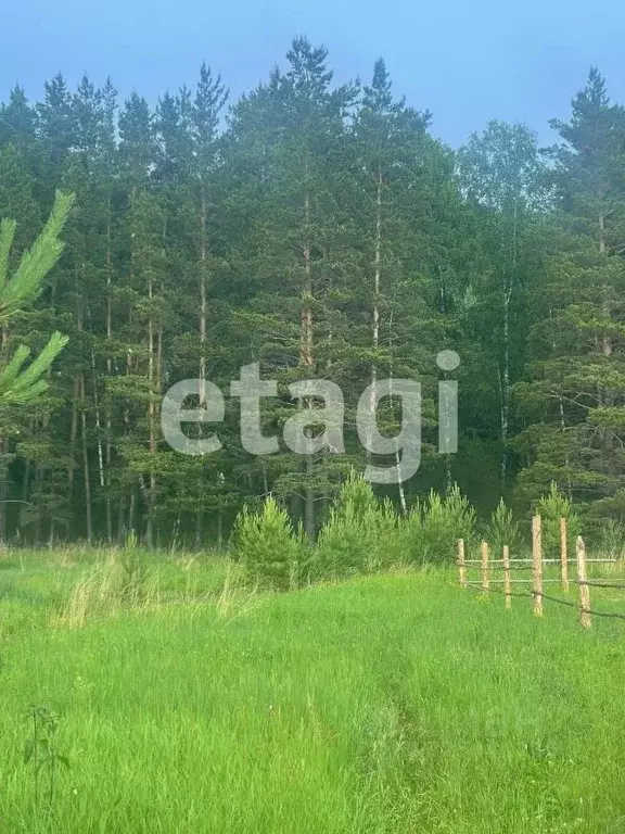Участок в Красноярский край, Дивногорск городской округ, пос. Манский  ... - Фото 1