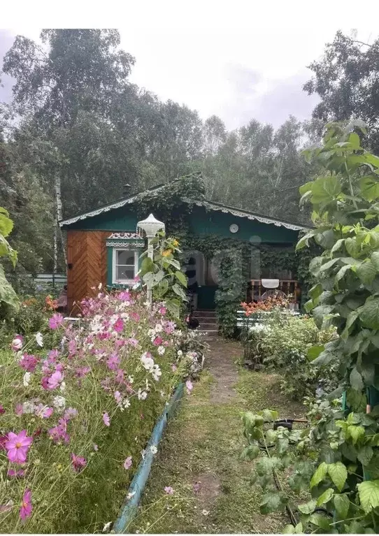 Дом в Забайкальский край, Читинский район, № 54 Радуга СНТ 63 (35 м) - Фото 1