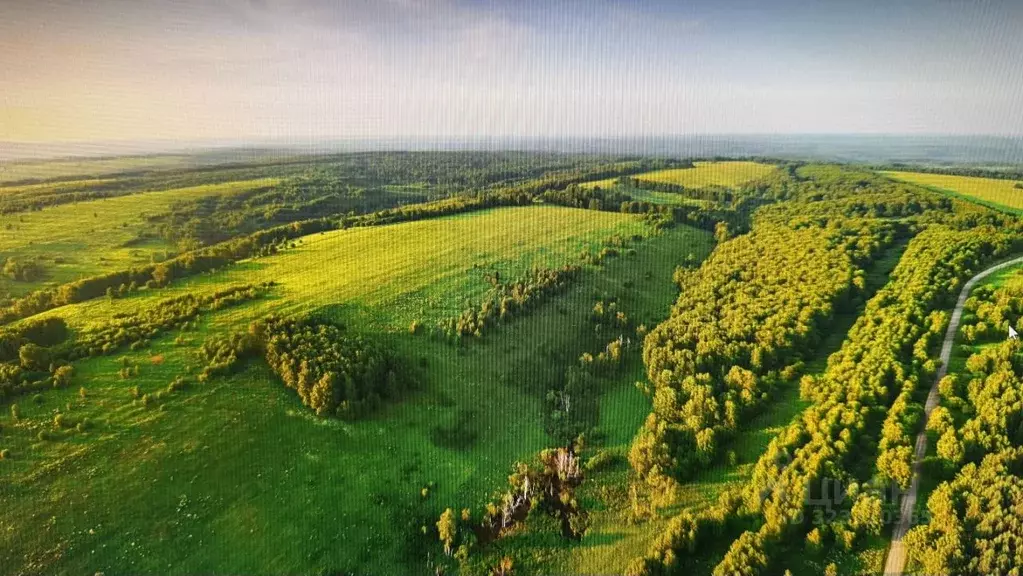 Участок в Алтайский край, Кытмановский район, пос. Кытманушка  (16.5 ... - Фото 1