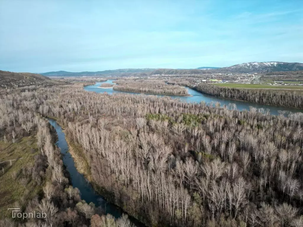 Участок в Алтайский край, Алтайский район, Айский сельсовет, с. Ая ул. ... - Фото 1