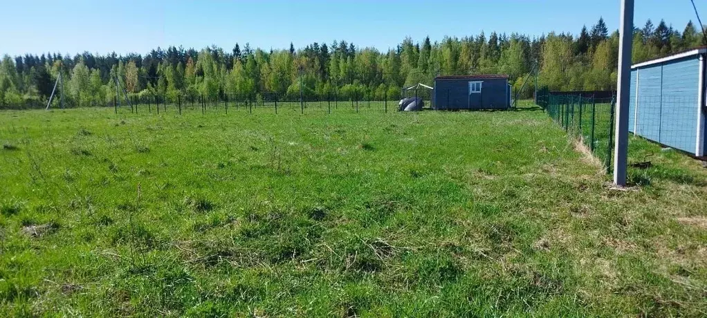 Участок в Ленинградская область, Всеволожский район, Рахьинское ... - Фото 0