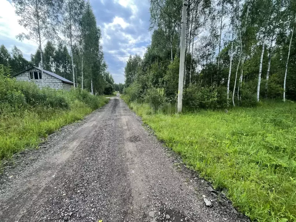 Участок в Смоленская область, Ярцево ул. Радужная, 28 (12.0 сот.) - Фото 1
