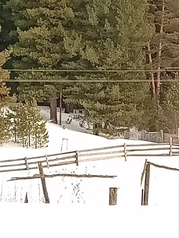 Участок в Томская область, Томский район, д. Большое Протопопово ул. ... - Фото 2