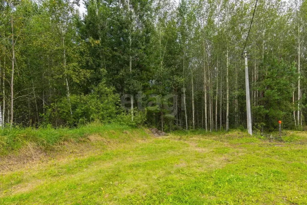 Участок в Тюменская область, Нижнетавдинский муниципальный округ, пос. ... - Фото 1