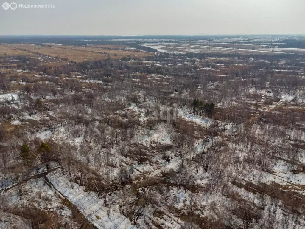 Участок в Тополевское сельское поселение, СНТ Раздольное (8 м) - Фото 0
