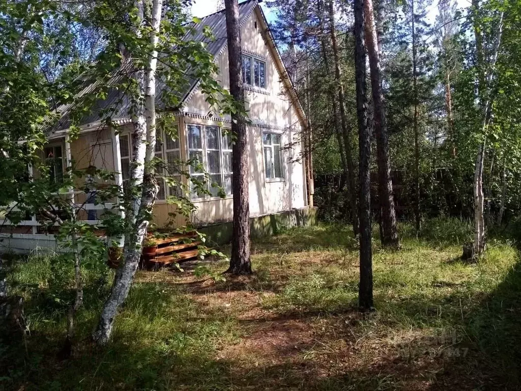Участок в Саха (Якутия), Якутск городской округ, с. Маган  (11.0 сот.) - Фото 0