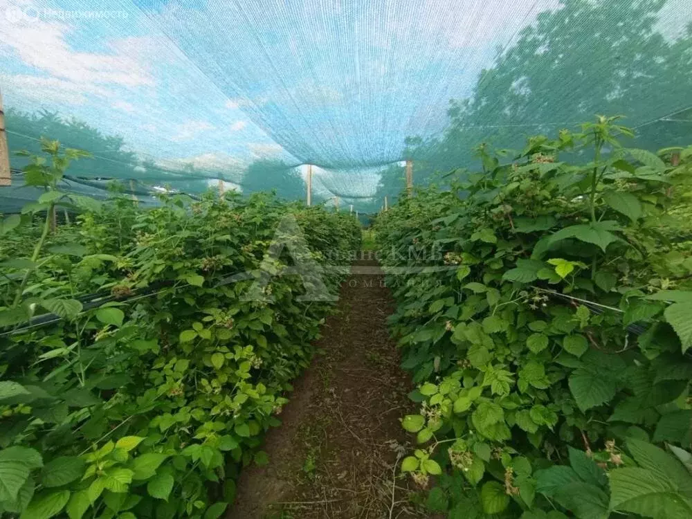 Дом в станица Лысогорская, Тупиковый переулок (75 м) - Фото 1