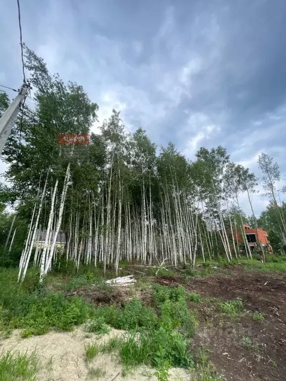 Участок в Рязанская область, Рязанский район, Заборьевское с/пос, с. ... - Фото 1