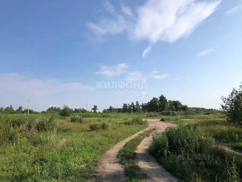 Участок в Новосибирская область, Коченево рп ул. Заводская (12.1 сот.) - Фото 0