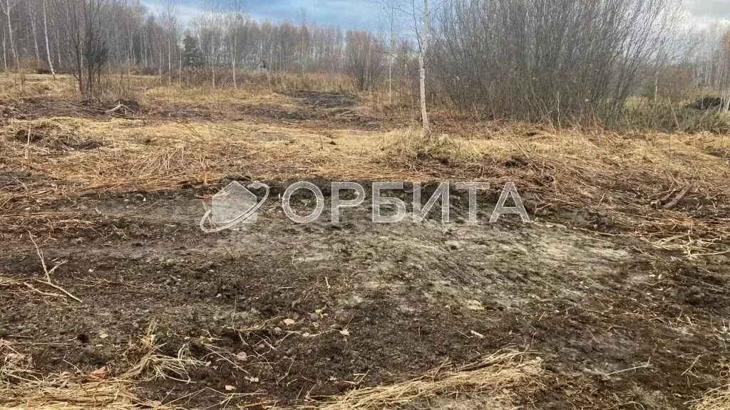 Участок в Тюменская область, Нижнетавдинский район, Моторостроитель ... - Фото 0