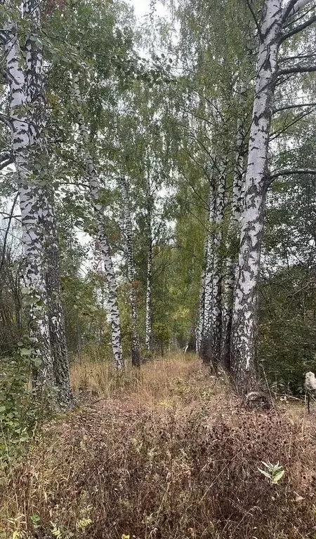 Участок в Тульская область, Веневский муниципальный округ, пос. ... - Фото 1