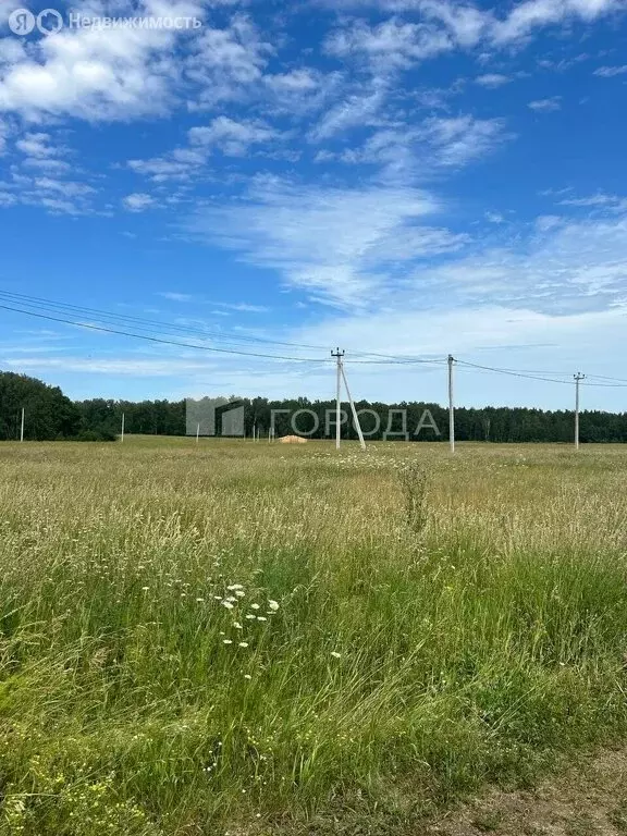 Участок в Фирсово, микрорайон Полесье (10.71 м) - Фото 2