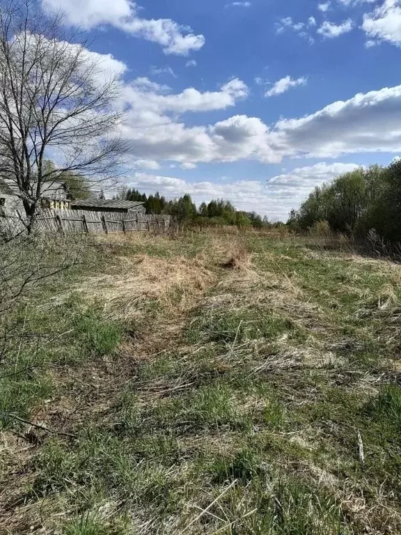 Участок в Владимирская область, Судогодский район, Мошокское ... - Фото 1