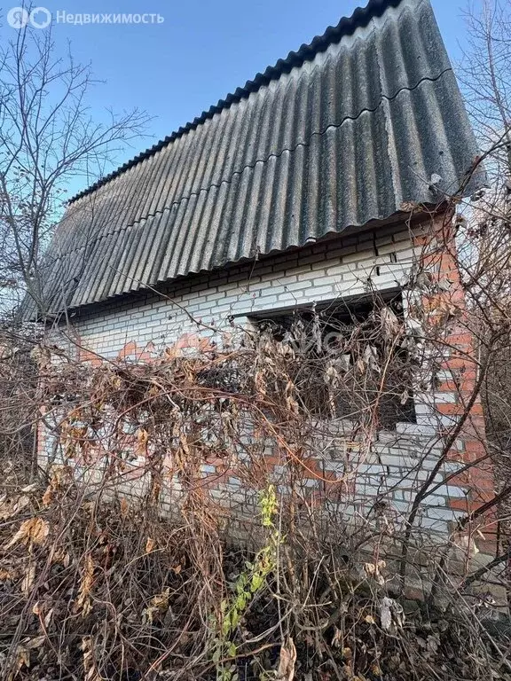 Участок в Засечный сельсовет, садовое некоммерческое товарищество ... - Фото 2