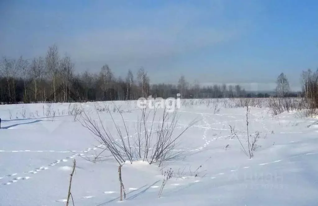 Участок в Ленинградская область, Выборгский район, Красносельское ... - Фото 0