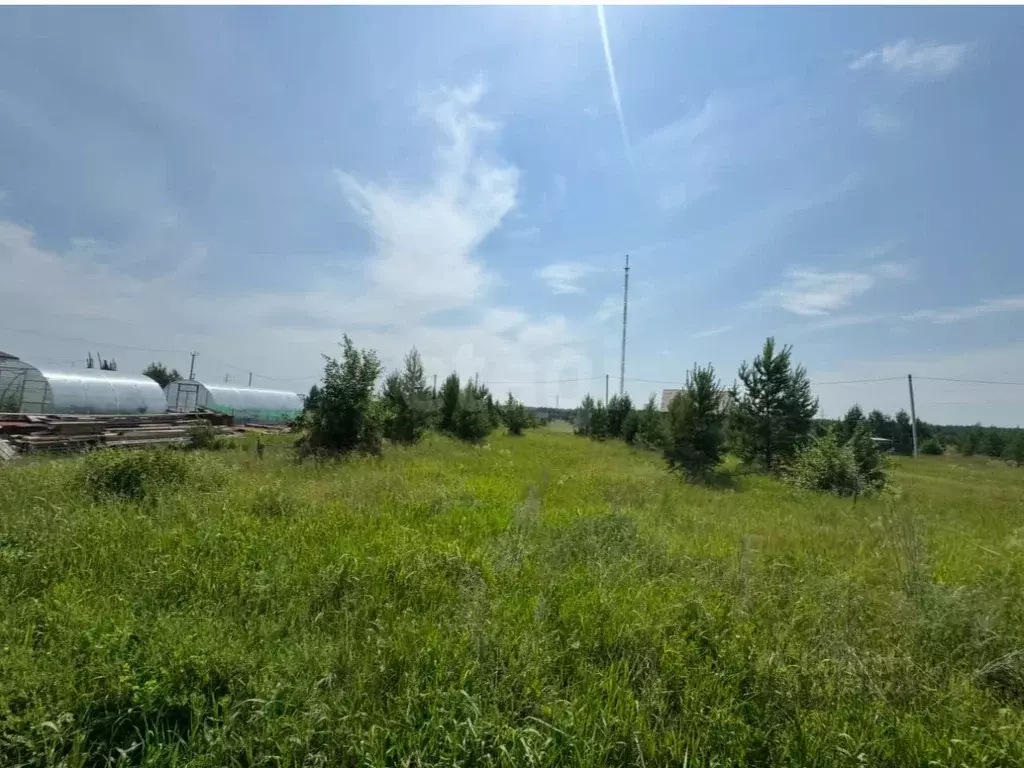 Участок в Курганская область, Шадринск Проектная ул., 21А (8.0 сот.) - Фото 1