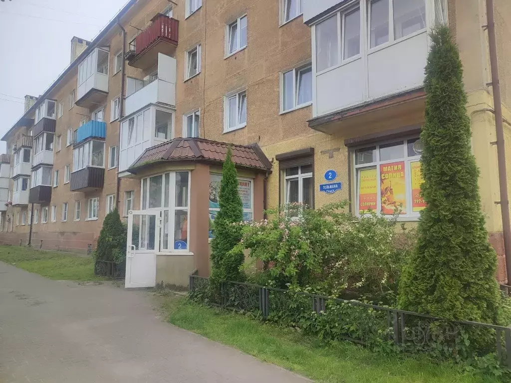 2-к кв. Калининградская область, Светлый ул. Тельмана, 2 (44.0 м) - Фото 1