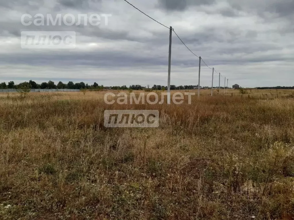 Участок в Курская область, Курский район, Новопоселеновский сельсовет, ... - Фото 0