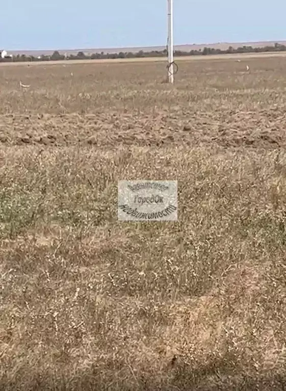 Участок в Крым, Черноморский район, Окуневское с/пос, с. Знаменское  ... - Фото 1