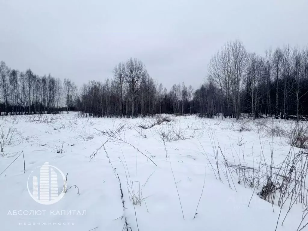 Участок в Московская область, Орехово-Зуевский городской округ, д. ... - Фото 1