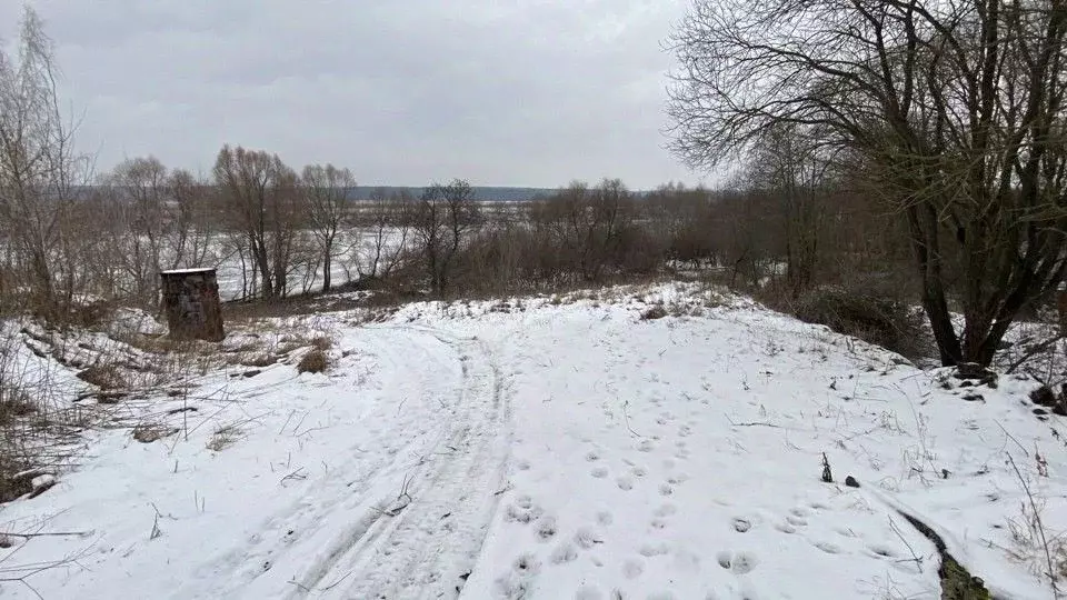 Участок в Московская область, Кашира городской округ, д. Баскачи  ... - Фото 0