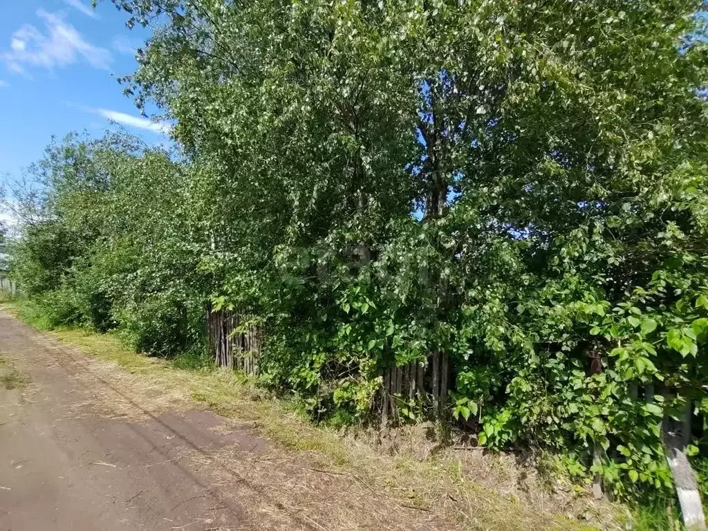 Участок в Вологодская область, Череповец Северсталь №2 СНТ, 10-я ... - Фото 1