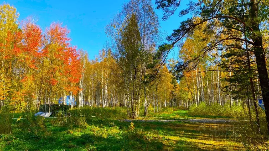 Участок в Свердловская область, Белоярский городской округ, пос. ... - Фото 0