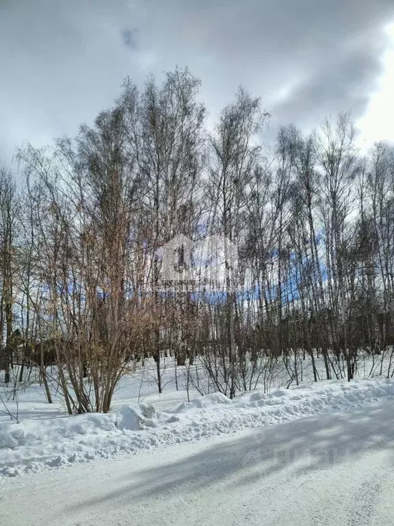 3-к кв. Новосибирская область, Новосибирский район, Мочищенский ... - Фото 1