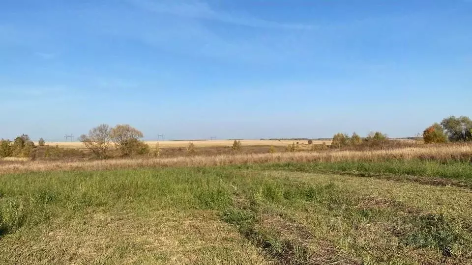 Участок в Московская область, Кашира городской округ, д. Никулино  ... - Фото 0