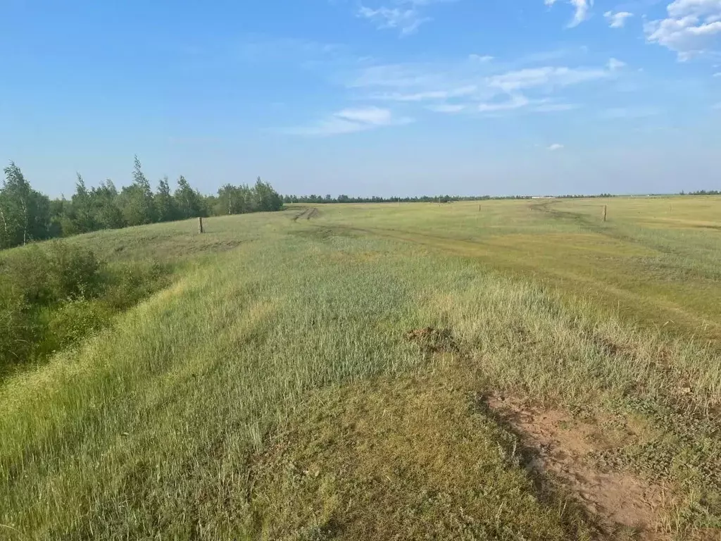 Участок в Саха (Якутия), Якутск городской округ, с. Хатассы  (8.0 ... - Фото 2