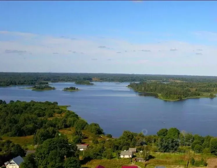 Участок в Псковская область, Куньинский район, Жижицкая волость, д. ... - Фото 2