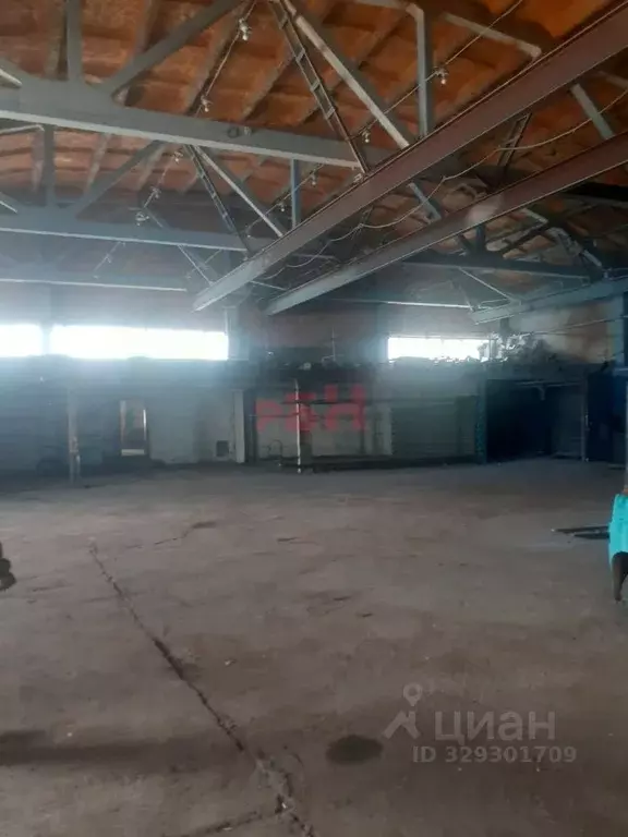 Склад в Пензенская область, Пенза ул. Литвинова (840 м) - Фото 1