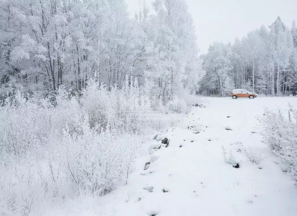 Участок в Карелия, Прионежский район, Нововилговское с/пос, ... - Фото 2