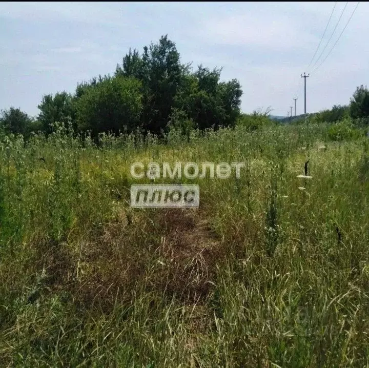 Участок в Краснодарский край, Северский район, Смоленское с/пос, ... - Фото 2