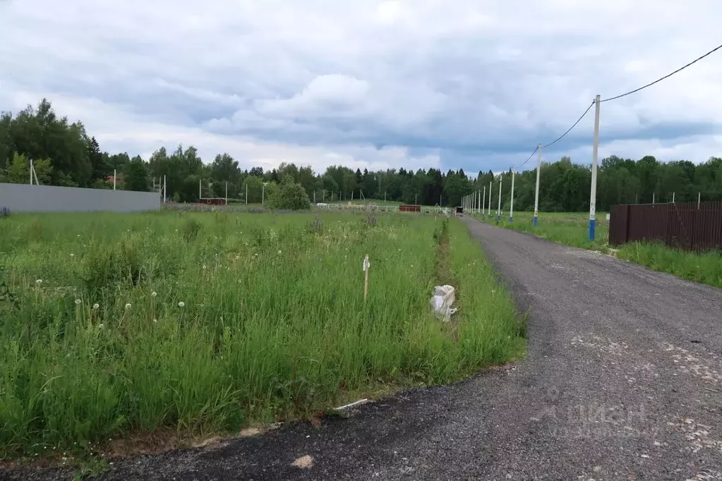 Участок в Московская область, Пушкинский городской округ, Росхмель СНТ ... - Фото 0